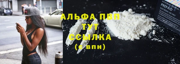 прущие грибы Новодвинск