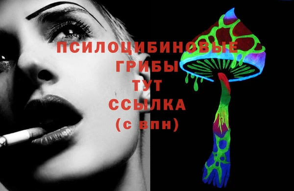 спайс Вяземский