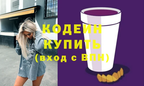ECSTASY Гусь-Хрустальный