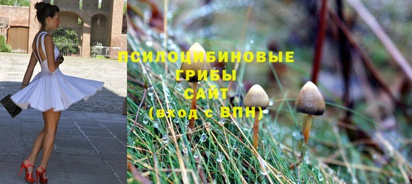 меф Гусиноозёрск