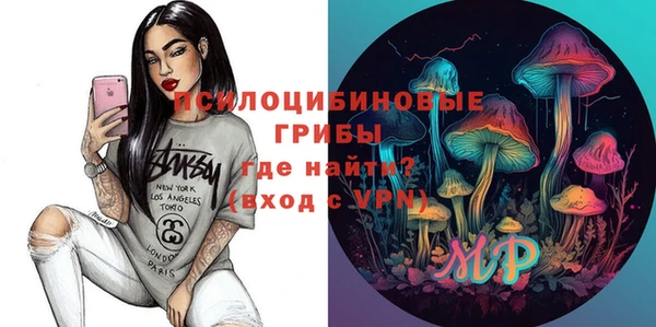 крисы Вязники