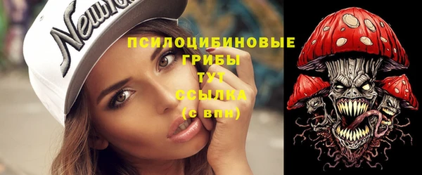 крисы Вязники