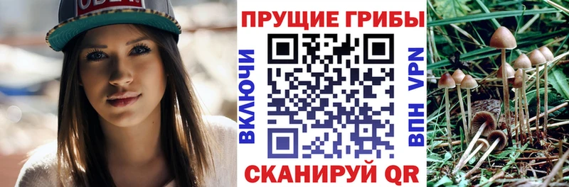 Псилоцибиновые грибы мицелий  Духовщина 