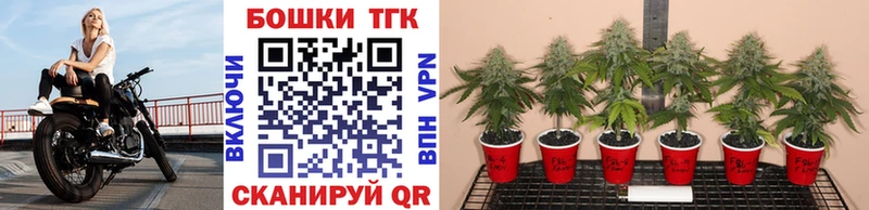 хочу наркоту  Духовщина  Каннабис White Widow 